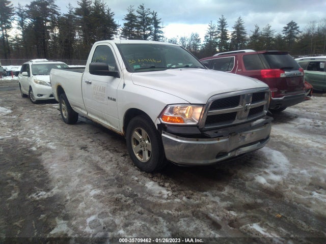 Dodge Ram 1500 Slt 2010 3D7JB1EPXAG102094 main image