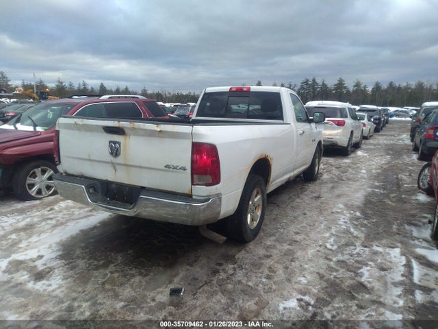Dodge Ram 1500 Slt 2010 3D7JB1EPXAG102094 Image 6