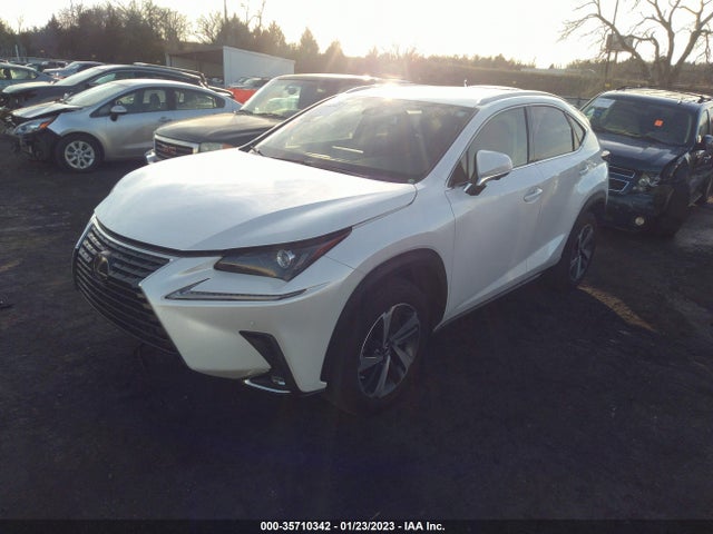 2020 Lexus NX, VIN: JTJGARBZ4L2159413