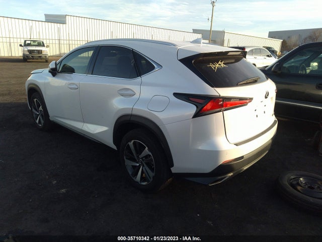 2020 Lexus NX, VIN: JTJGARBZ4L2159413
