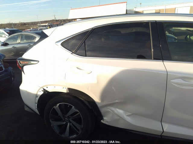 2020 Lexus NX, VIN: JTJGARBZ4L2159413