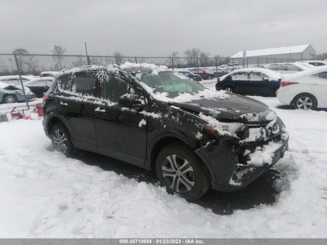 2017 Toyota RAV4, VIN: 2T3BFREV1HW635820