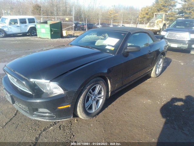 2013 FORD MUSTANG V6 VIN: 1ZVBP8EM5D5250435