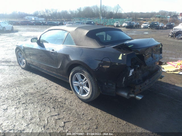 2013 FORD MUSTANG V6 VIN: 1ZVBP8EM5D5250435