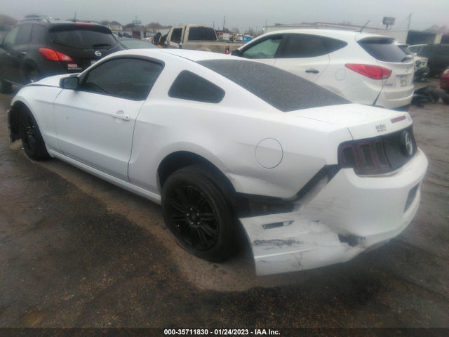 2014 FORD MUSTANG V6 VIN: 1ZVBP8AM0E5326411