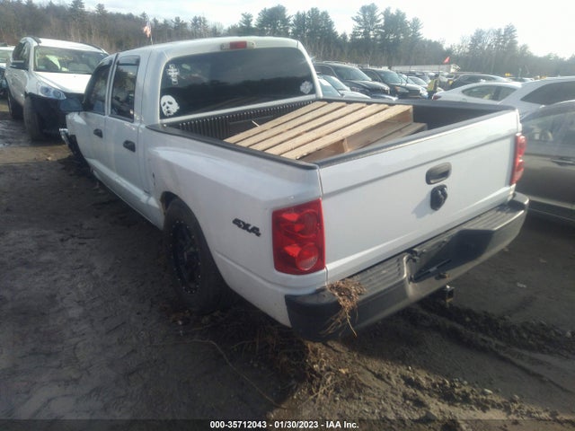 Dodge Dakota Bighorn/lonestar 2010 1D7CW3GP8AS140051 Image 3