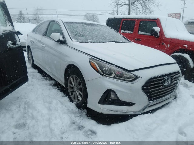 2019 Hyundai Sonata, VIN: 5NPE24AFXKH735794