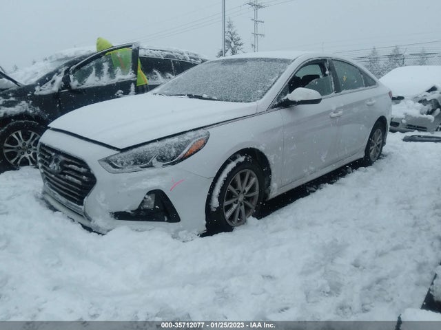 2019 Hyundai Sonata, VIN: 5NPE24AFXKH735794