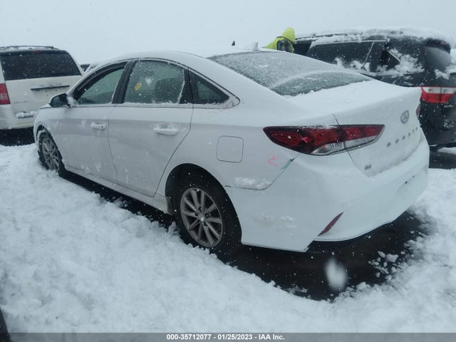 2019 Hyundai Sonata, VIN: 5NPE24AFXKH735794