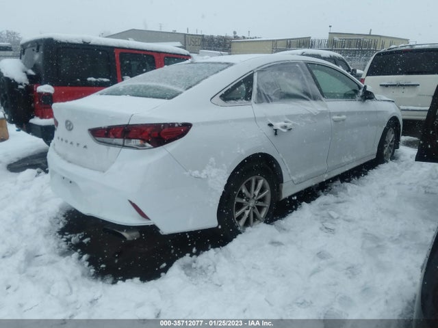 2019 Hyundai Sonata, VIN: 5NPE24AFXKH735794