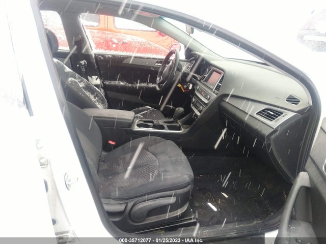 2019 Hyundai Sonata, VIN: 5NPE24AFXKH735794