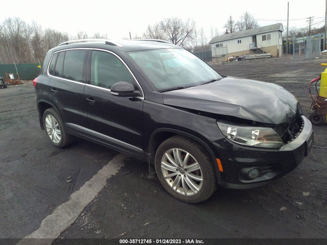 2015 Volkswagen Tiguan, VIN: WVGBV7AX1FW609307