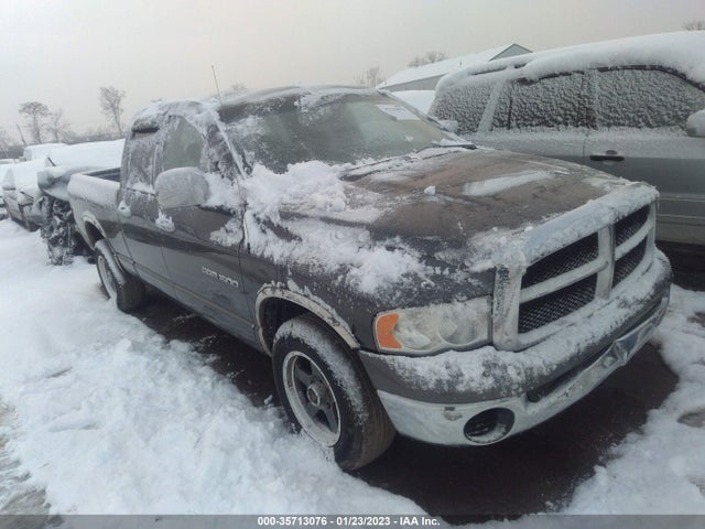Dodge Ram 1500 Slt 2004 1D7HA18N64S752467 главное изображение