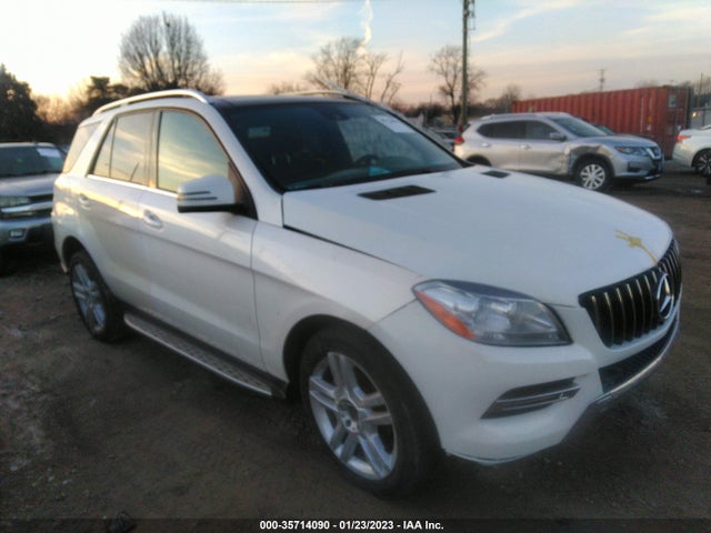 2014 Mercedes-Benz M-Class, VIN: 4JGDA5HB4EA317861