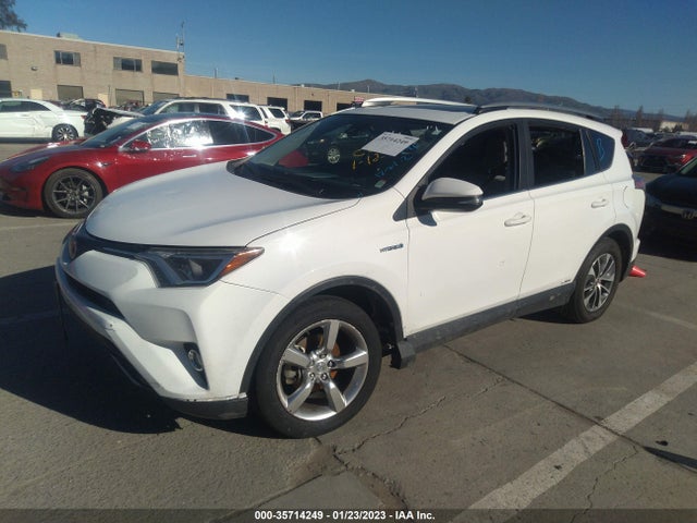 2017 Toyota RAV4, VIN: JTMRJREV7HD141066