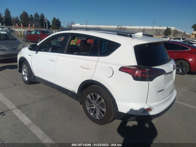 2017 Toyota RAV4, VIN: JTMRJREV7HD141066