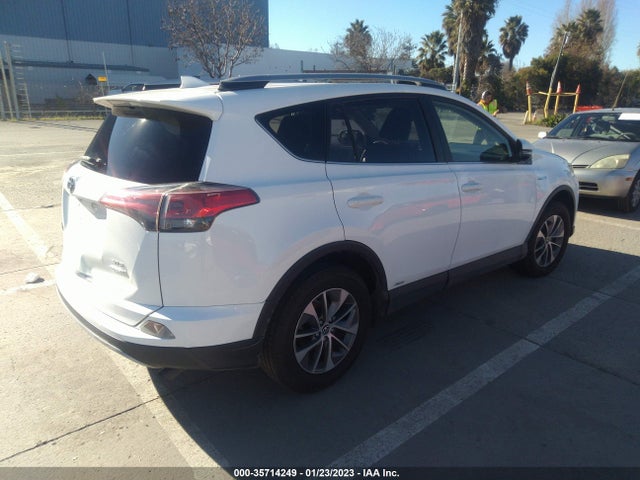 2017 Toyota RAV4, VIN: JTMRJREV7HD141066