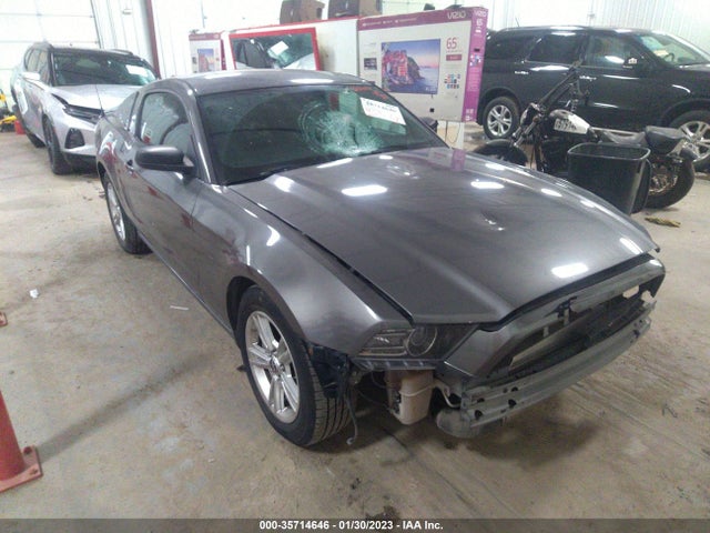 2014 1ZVBP8AMXE5278142 главное изображение