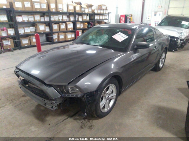 Ford Mustang V6 2014 1ZVBP8AMXE5278142 Image 2