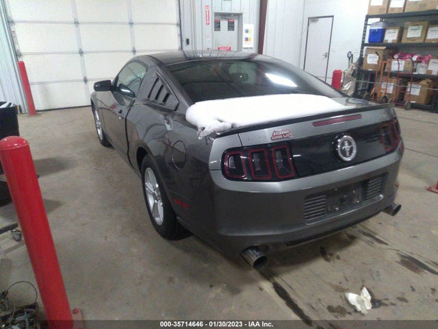 Ford Mustang V6 2014 1ZVBP8AMXE5278142 Image 3