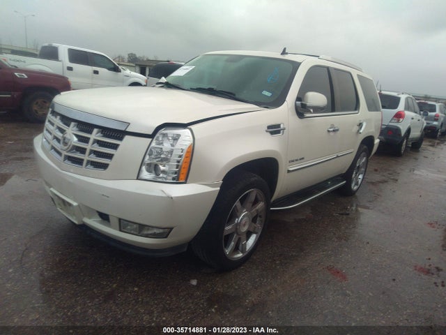 Cadillac Escalade 2010 1GYUCBEF0AR213250 Image 2