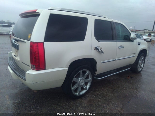 Cadillac Escalade 2010 1GYUCBEF0AR213250 Image 5