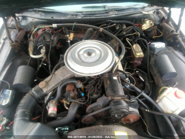 Lincoln Town Car 1979 9Y82S664220 Image 11