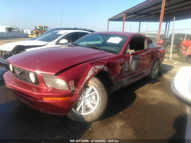 2005 FORD MUSTANG DELUXE/PREMIUM VIN: 1ZVHT80N455243483