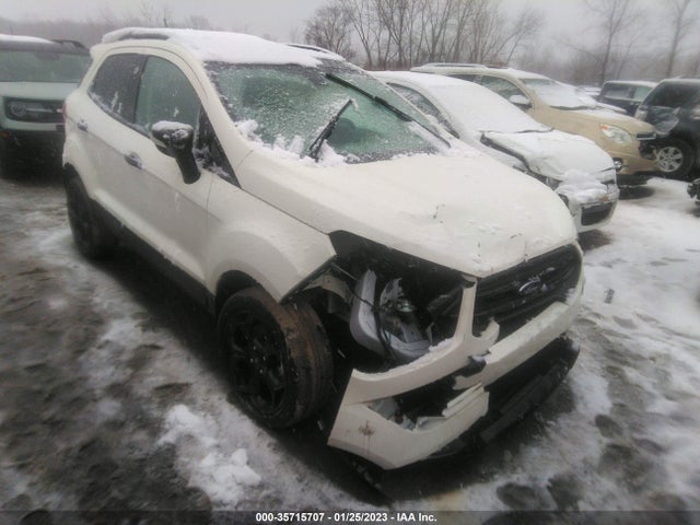 2021 Ford Ecosport, VIN: MAJ6S3JL9MC451016