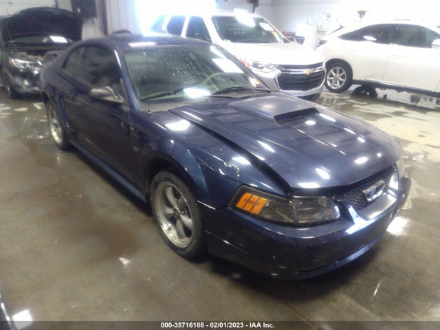2002 FORD MUSTANG GT VIN: 1FAFP42X72F116194