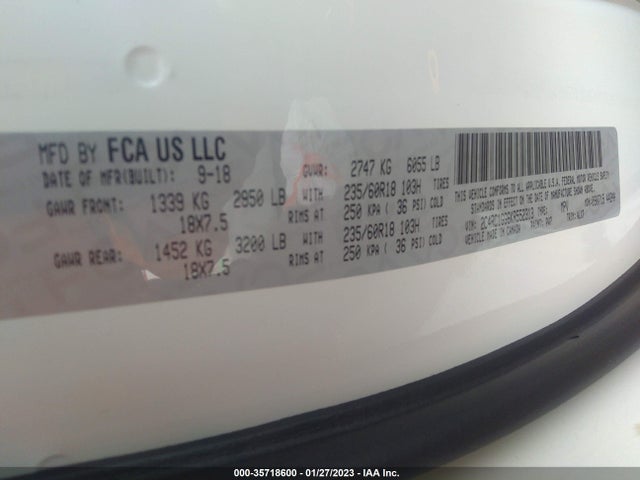 2019 Chrysler Pacifica, VIN: 2C4RC1GG6KR552313