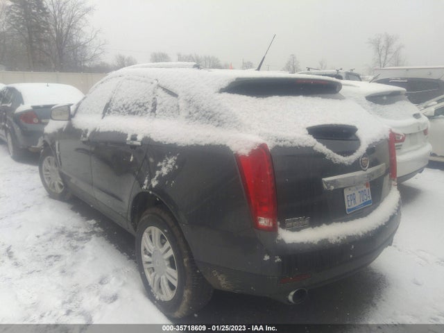 Cadillac Srx Luxury Collection 2010 3GYFNDEY2AS652348 Image 4