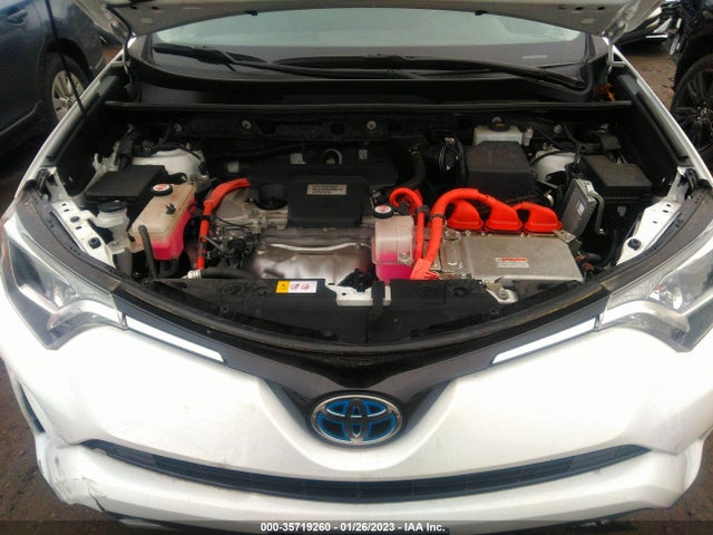2017 Toyota RAV4, VIN: JTMRJREV9HD151145