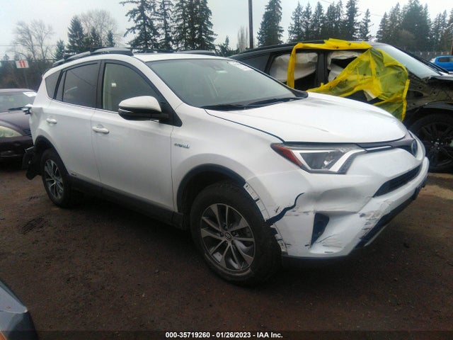 2017 Toyota RAV4, VIN: JTMRJREV9HD151145