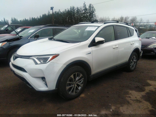 2017 Toyota RAV4, VIN: JTMRJREV9HD151145