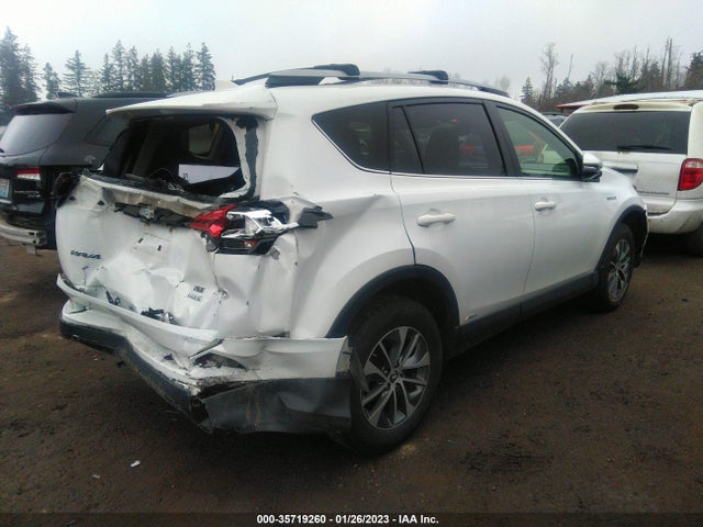 2017 Toyota RAV4, VIN: JTMRJREV9HD151145