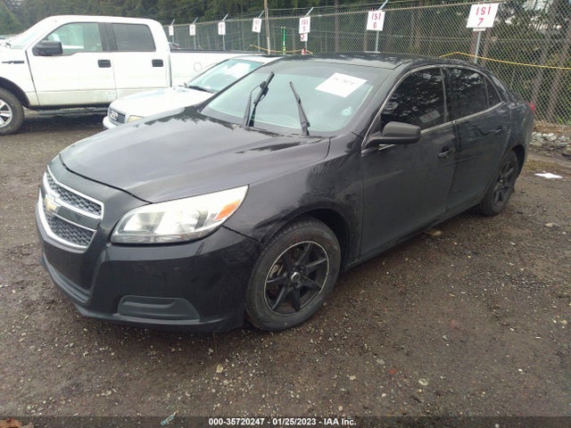 2013 CHEVROLET MALIBU LS VIN: 1G11B5SA2DF134442