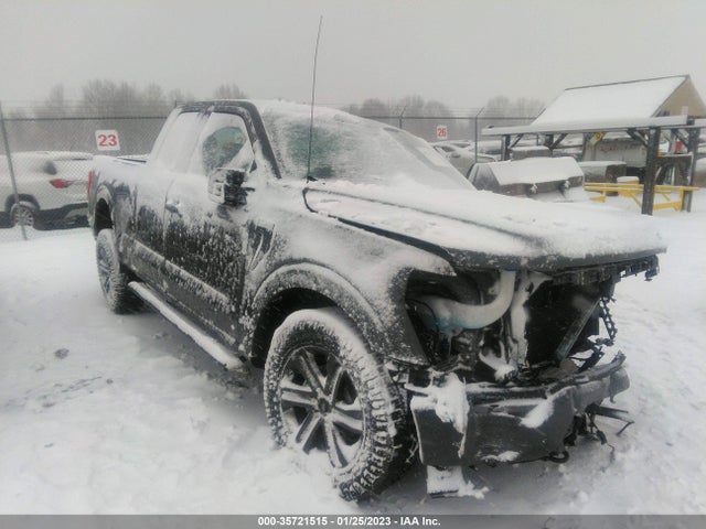 2021 Ford F-150, VIN: 1FTEX1EP7MKD25252
