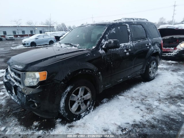 2011 FORD ESCAPE XLT VIN: 1FMCU0DG5BKB81348