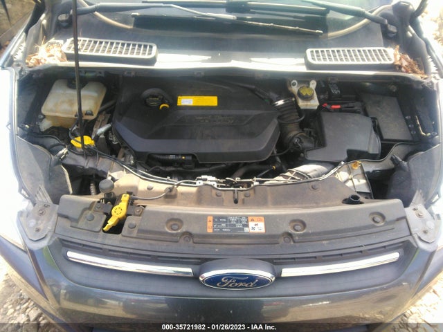 2015 Ford Escape, VIN: 1FMCU0GX6FUC10376