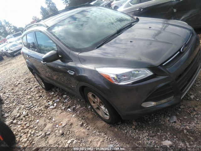 2015 Ford Escape, VIN: 1FMCU0GX6FUC10376