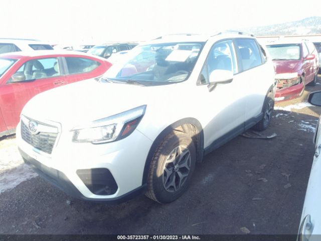 JF2SKAECXKH464219 Subaru Forester Premium