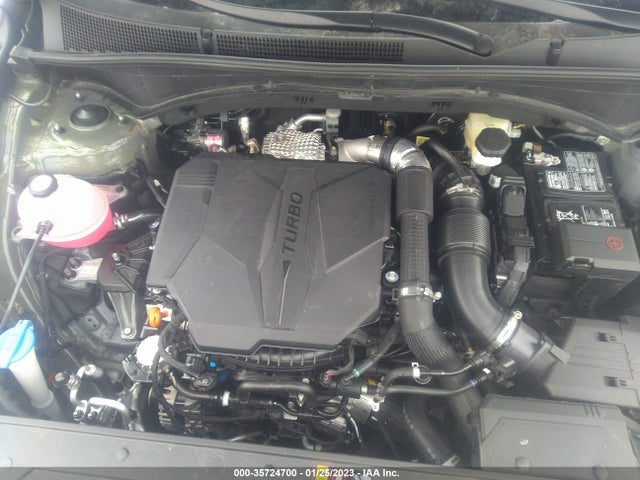 Hyundai Santa Fe Calligraphy 2023 5NMS5DAL8PH520791 Image 11