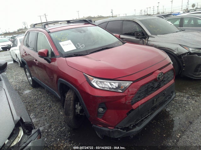2019 Toyota RAV4, VIN: JTMW1RFV9KD503164