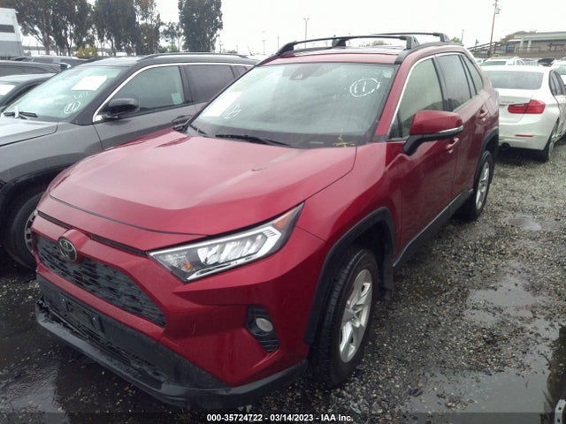 2019 Toyota RAV4, VIN: JTMW1RFV9KD503164