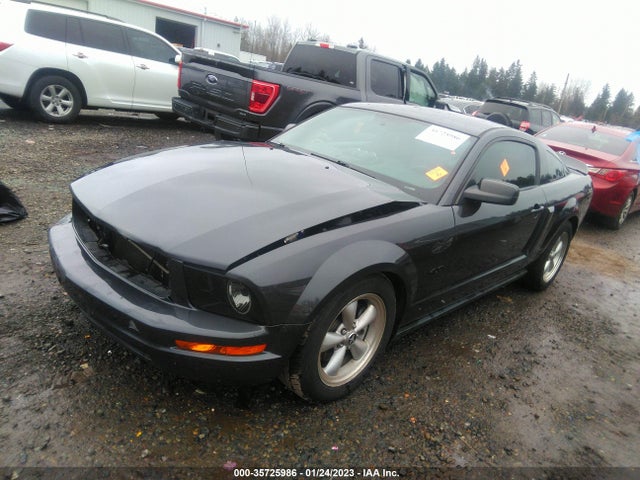 2007 FORD MUSTANG DELUXE/PREMIUM VIN: 1ZVHT80N375199933
