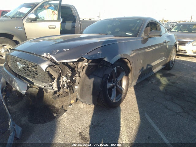 2015 Ford Fastback, VIN: 1FA6P8AM9F5370600
