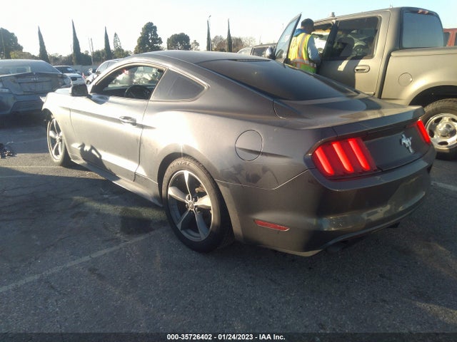 2015 Ford Fastback, VIN: 1FA6P8AM9F5370600