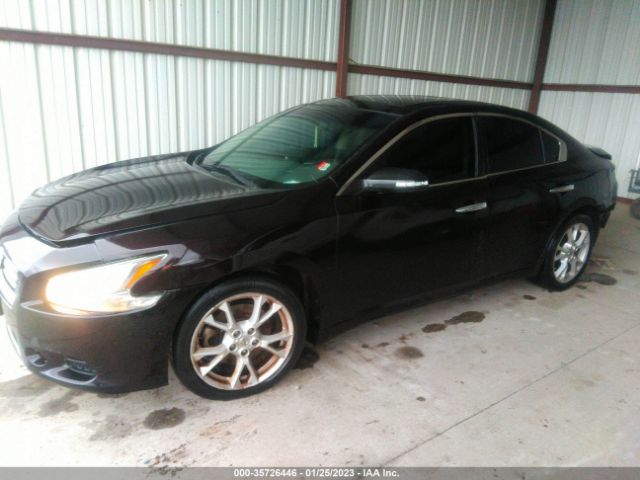 1N4AA5AP3EC906570 Nissan Maxima 3.5 Sv W/premium Pkg