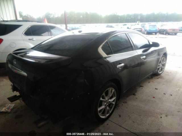 1N4AA5AP3EC906570 Nissan Maxima 3.5 Sv W/premium Pkg